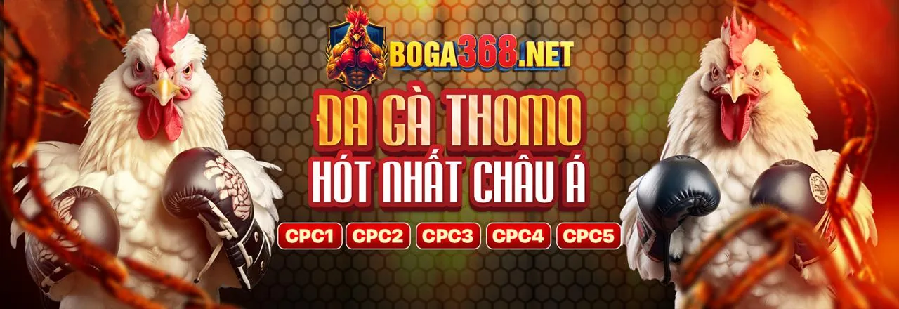 Hình ảnh chính Chương trình VIP 789p app